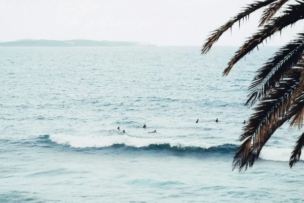 Surf camp guests enjoying the beach